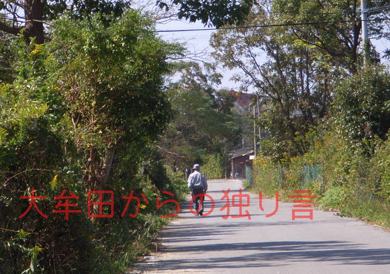 P䒬Vl