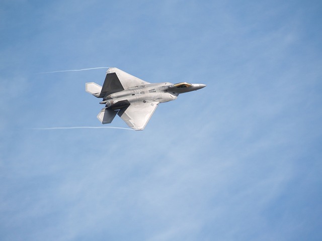 F22raptor